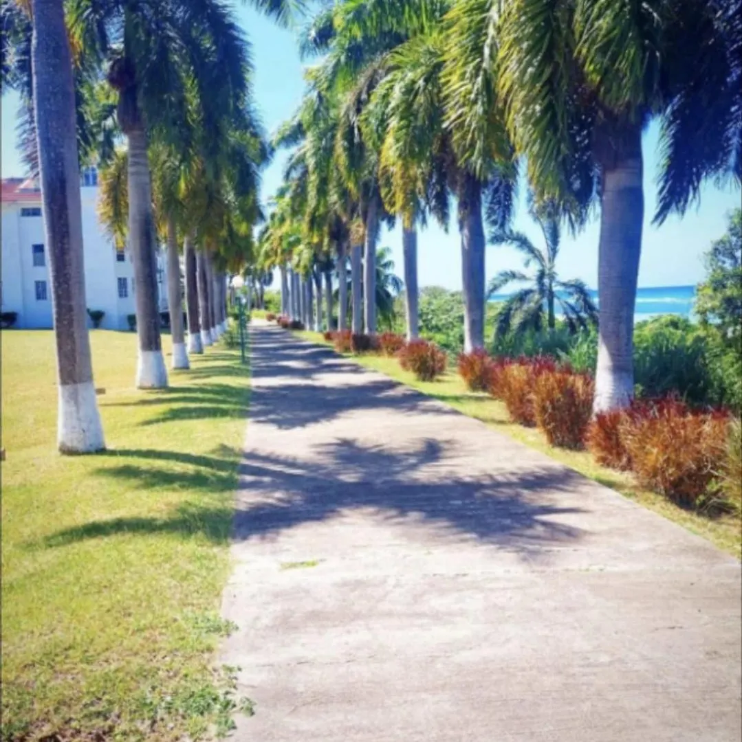 Paradise By The Sea Montego Bay Appartamento